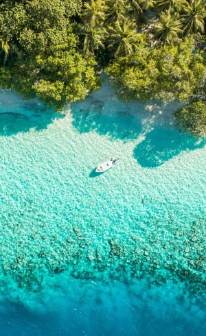 ahmed-yaaniu-05A3CzImkhw-unsplash